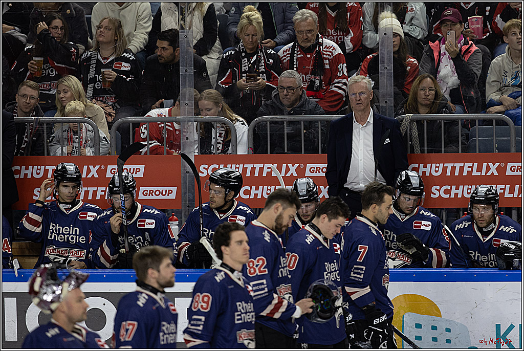 PENNY DEL 1; Kölner Haie - ERC Ingolstadt; Köln, 13.10.2024