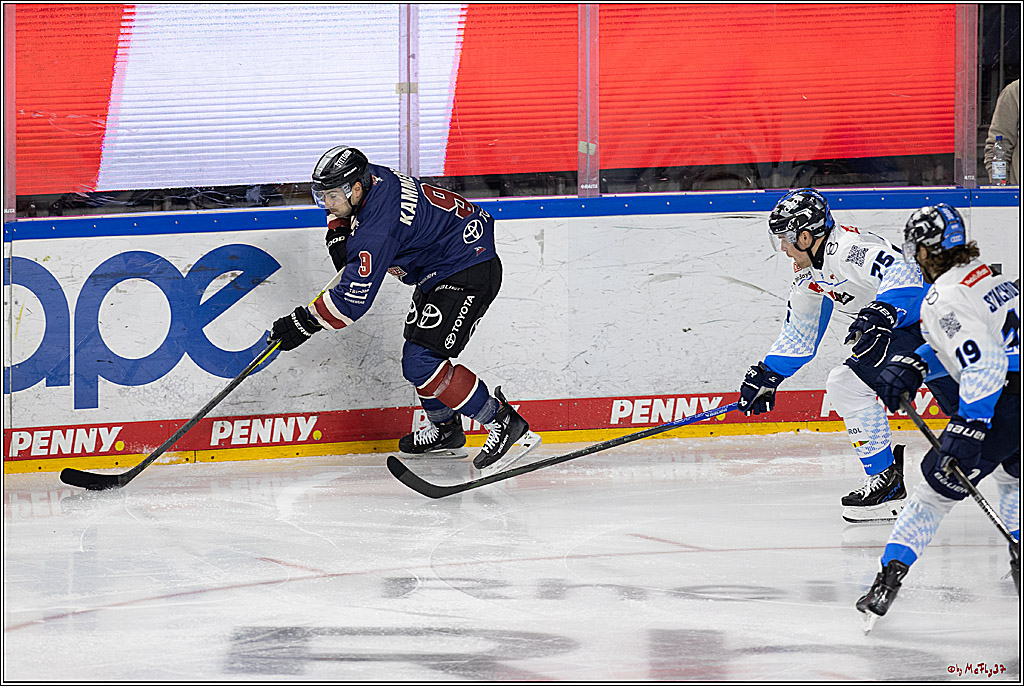 PENNY DEL 1; Kölner Haie - ERC Ingolstadt; Köln, 13.10.2024