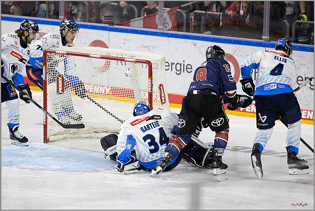 PENNY DEL 1; Kölner Haie - ERC Ingolstadt; Köln, 13.10.2024