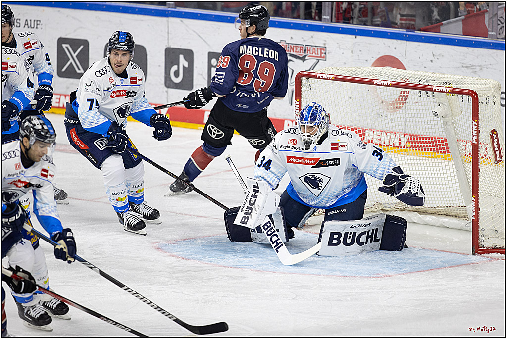 PENNY DEL 1; Kölner Haie - ERC Ingolstadt; Köln, 13.10.2024