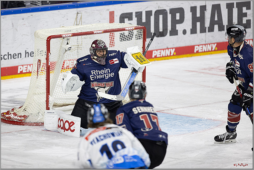 PENNY DEL 1; Kölner Haie - ERC Ingolstadt; Köln, 13.10.2024