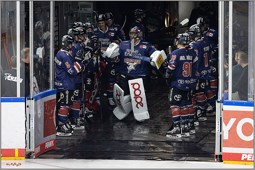 PENNY DEL 1; Kölner Haie - ERC Ingolstadt; Köln, 13.10.2024