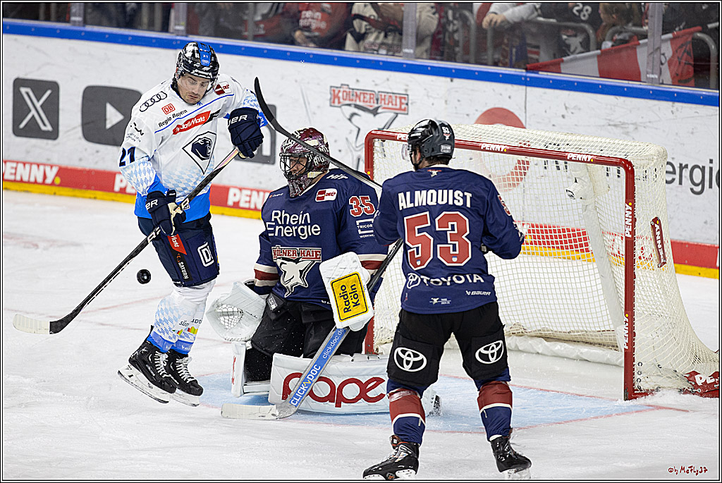 PENNY DEL 1; Kölner Haie - ERC Ingolstadt; Köln, 13.10.2024