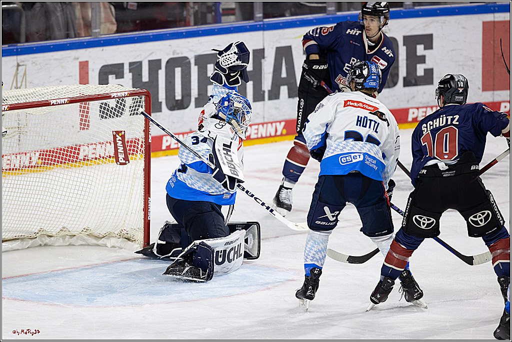 PENNY DEL 1; Kölner Haie - ERC Ingolstadt; Köln, 13.10.2024