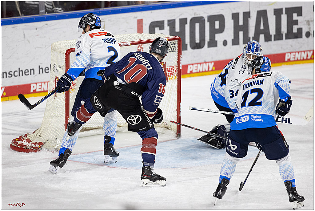 PENNY DEL 1; Kölner Haie - ERC Ingolstadt; Köln, 13.10.2024