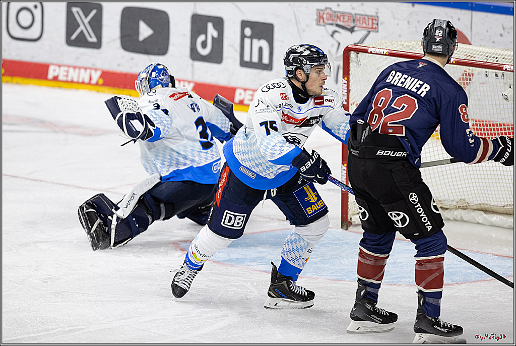 PENNY DEL 1; Kölner Haie - ERC Ingolstadt; Köln, 13.10.2024
