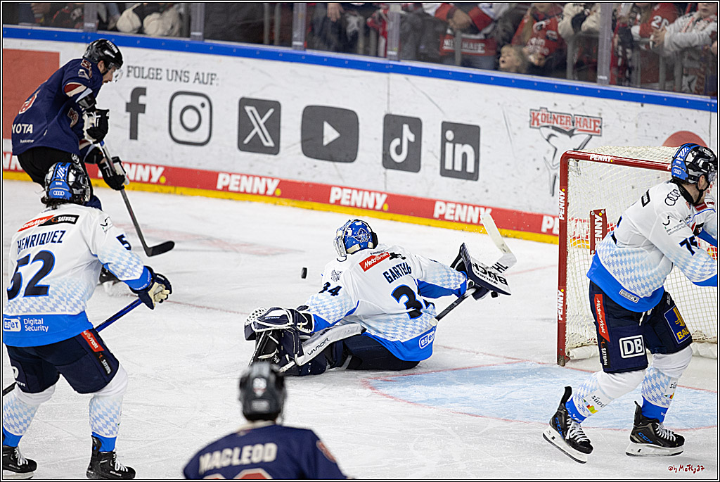 PENNY DEL 1; Kölner Haie - ERC Ingolstadt; Köln, 13.10.2024