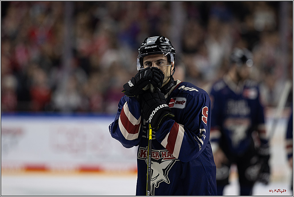 PENNY DEL 1; Kölner Haie - ERC Ingolstadt; Köln, 13.10.2024