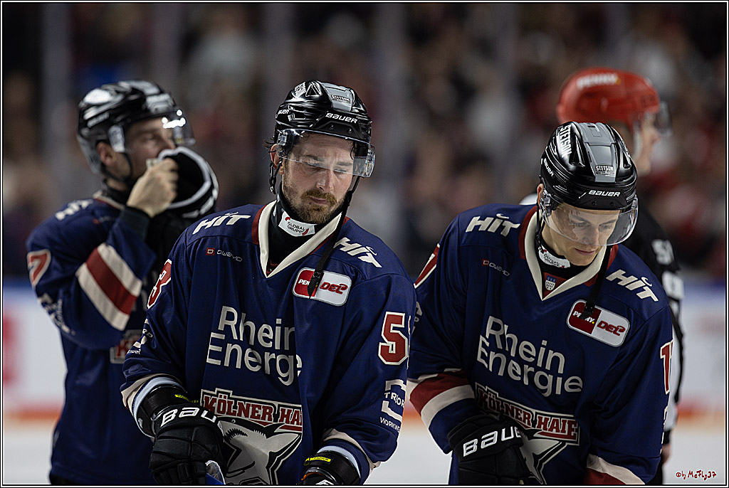 PENNY DEL 1; Kölner Haie - ERC Ingolstadt; Köln, 13.10.2024