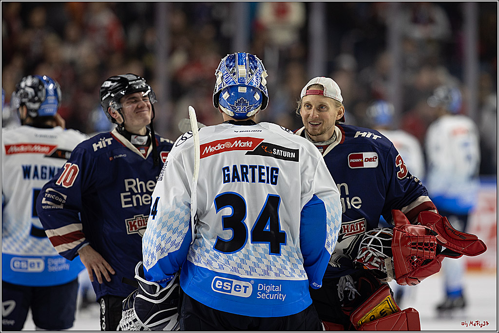 PENNY DEL 1; Kölner Haie - ERC Ingolstadt; Köln, 13.10.2024