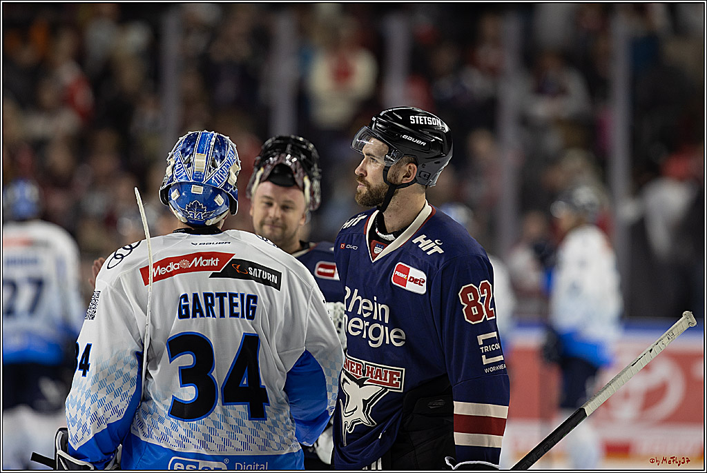 PENNY DEL 1; Kölner Haie - ERC Ingolstadt; Köln, 13.10.2024