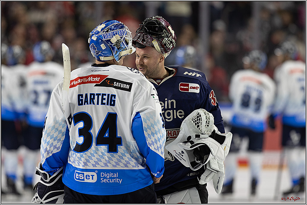 PENNY DEL 1; Kölner Haie - ERC Ingolstadt; Köln, 13.10.2024