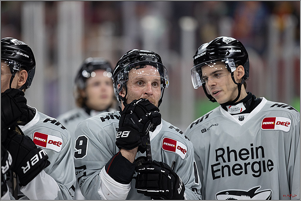 PENNY DEL 1; Düsseldorfer EG - Kölner Haie; Düsseldorf, 18.10.2024