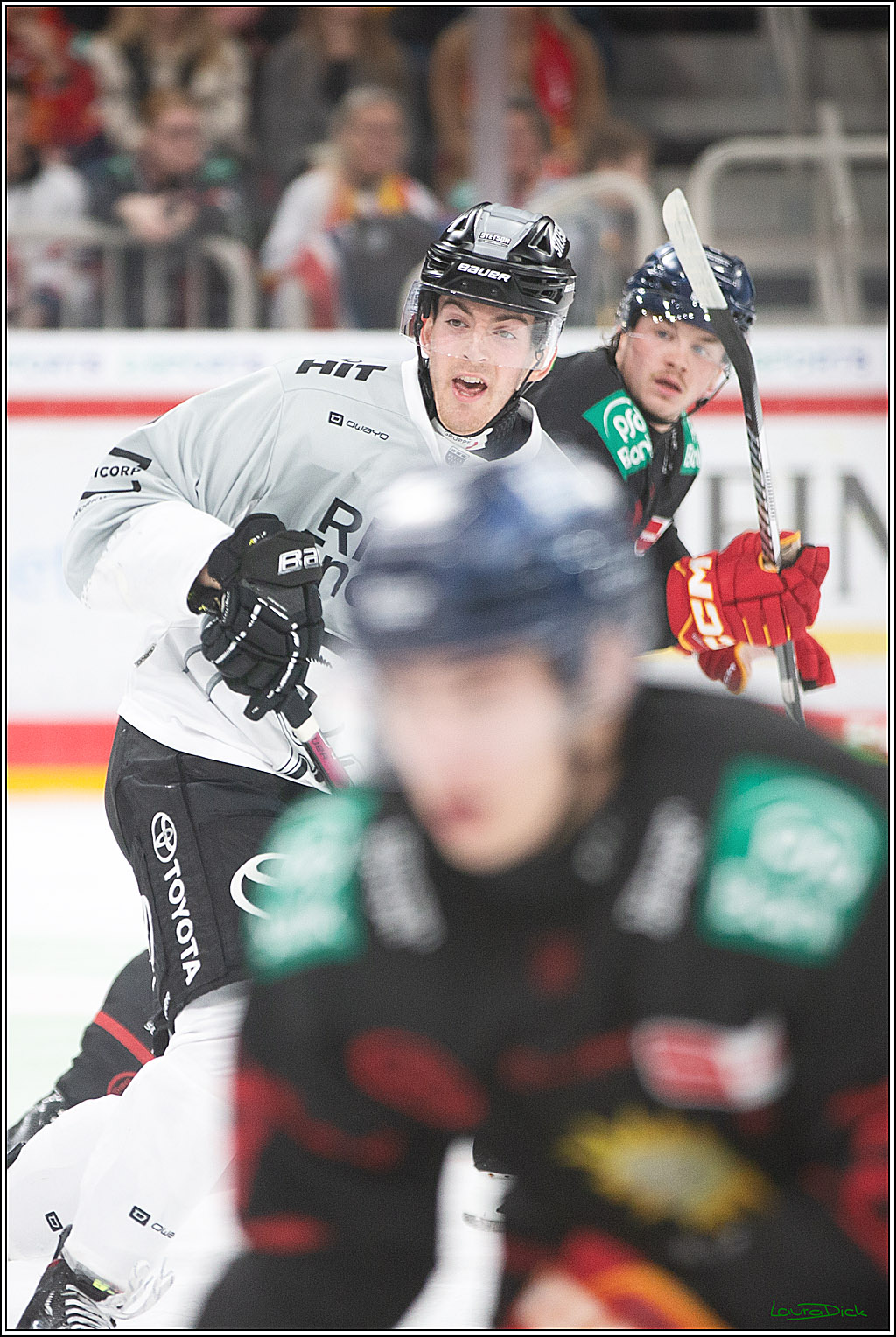 PENNY DEL; Duesseldorfer EG-Koelner Haie; Duesseldorf, 18.10.2024
