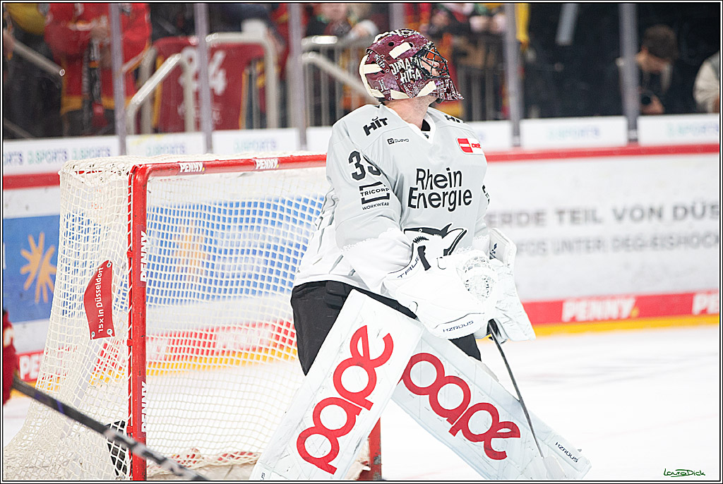 PENNY DEL; Duesseldorfer EG-Koelner Haie; Duesseldorf, 18.10.2024