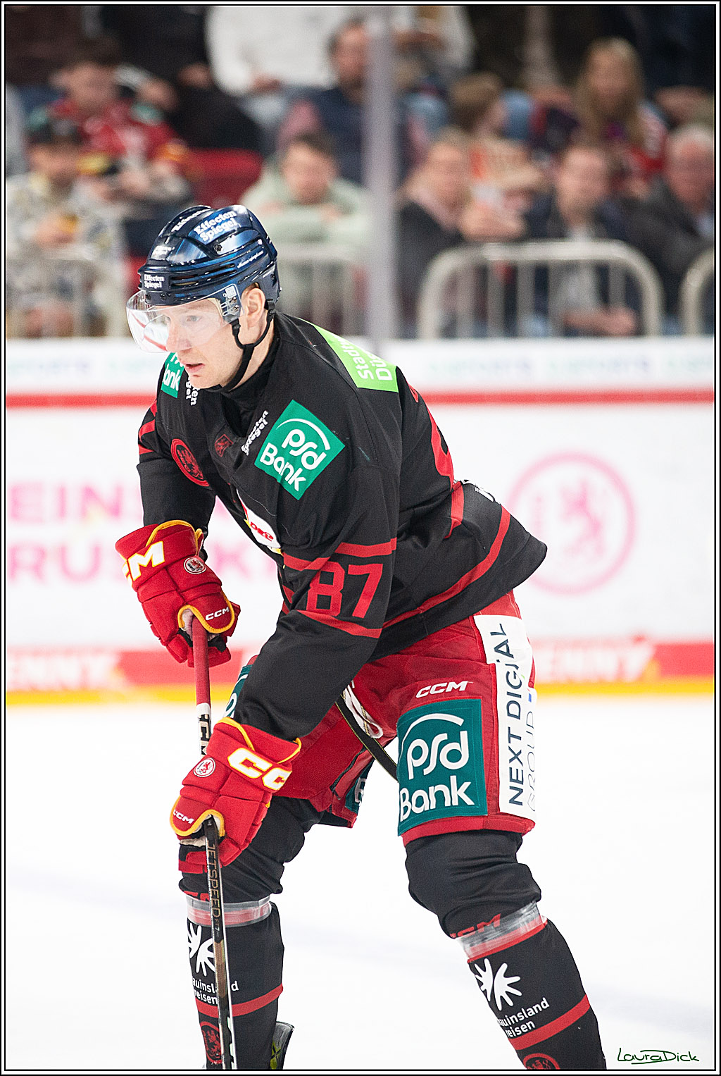 PENNY DEL; Duesseldorfer EG-Koelner Haie; Duesseldorf, 18.10.2024