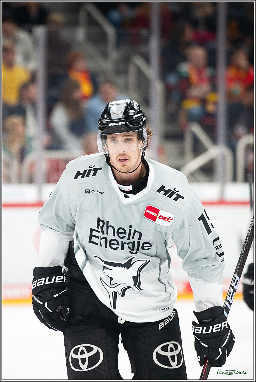 PENNY DEL; Duesseldorfer EG-Koelner Haie; Duesseldorf, 18.10.2024