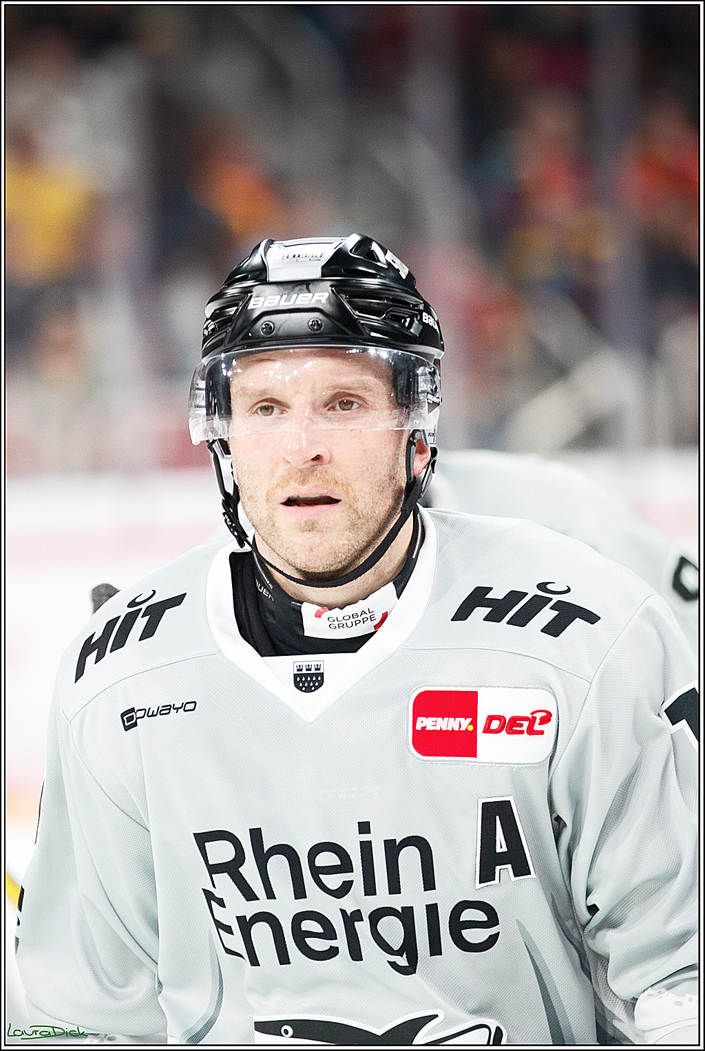 PENNY DEL; Duesseldorfer EG-Koelner Haie; Duesseldorf, 18.10.2024