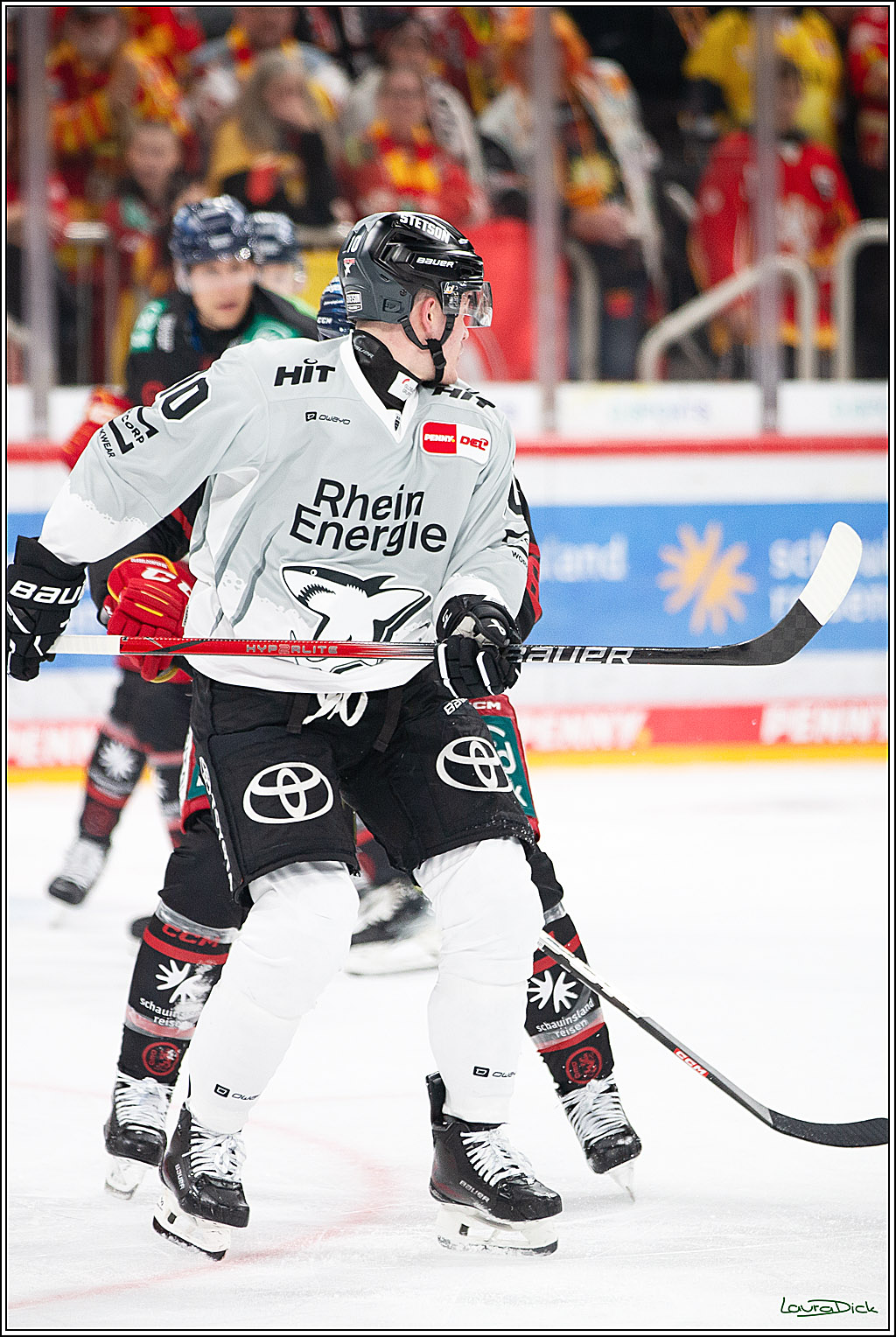 PENNY DEL; Duesseldorfer EG-Koelner Haie; Duesseldorf, 18.10.2024