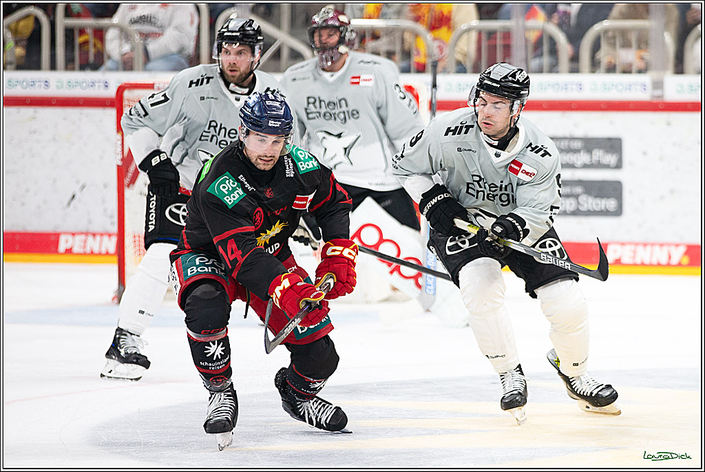 PENNY DEL; Duesseldorfer EG-Koelner Haie; Duesseldorf, 18.10.2024