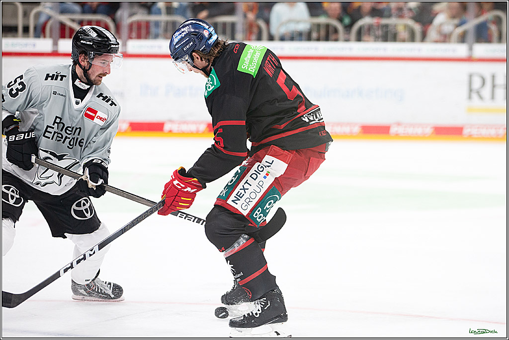 PENNY DEL; Duesseldorfer EG-Koelner Haie; Duesseldorf, 18.10.2024
