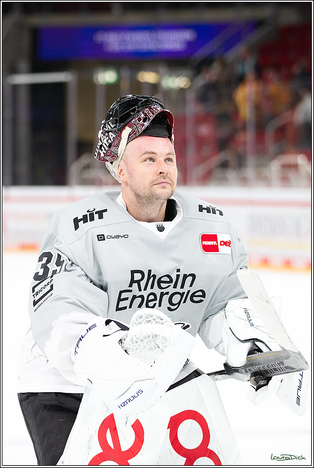 PENNY DEL; Duesseldorfer EG-Koelner Haie; Duesseldorf, 18.10.2024
