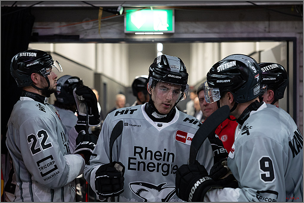 PENNY DEL 1; Düsseldorfer EG - Kölner Haie; Düsseldorf, 18.10.2024