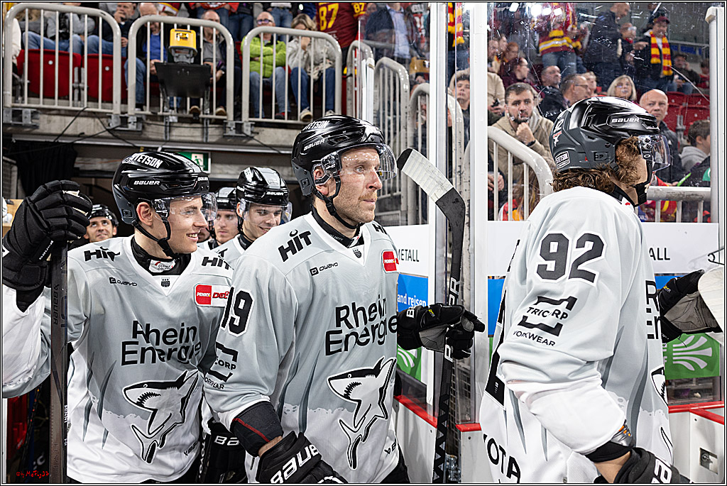 PENNY DEL 1; Düsseldorfer EG - Kölner Haie; Düsseldorf, 18.10.2024