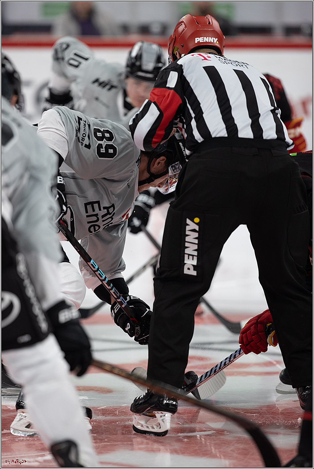 PENNY DEL 1; Düsseldorfer EG - Kölner Haie; Düsseldorf, 18.10.2024