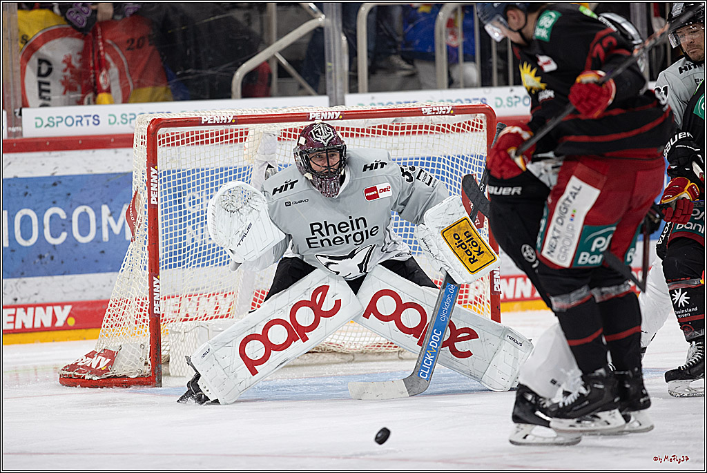 PENNY DEL 1; Düsseldorfer EG - Kölner Haie; Düsseldorf, 18.10.2024