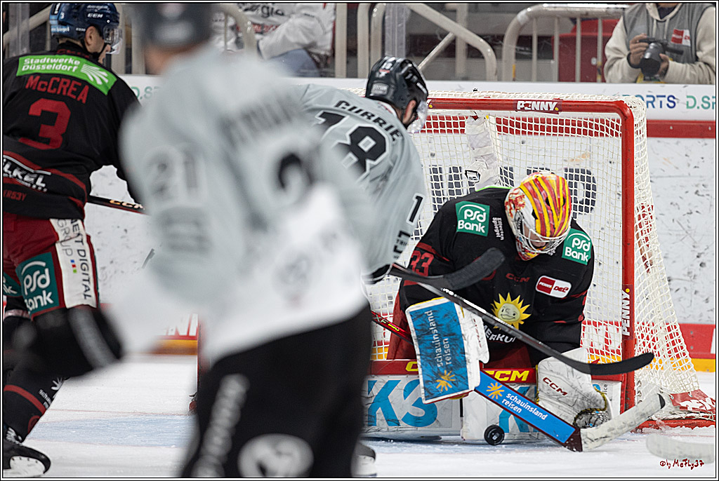 PENNY DEL 1; Düsseldorfer EG - Kölner Haie; Düsseldorf, 18.10.2024