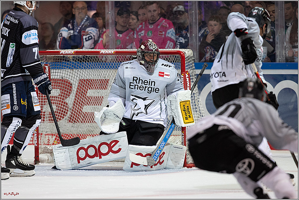 PENNY DEL 1; Iserlohn Roosters - Kölner Haie; Iserlohn, 20.10.2024