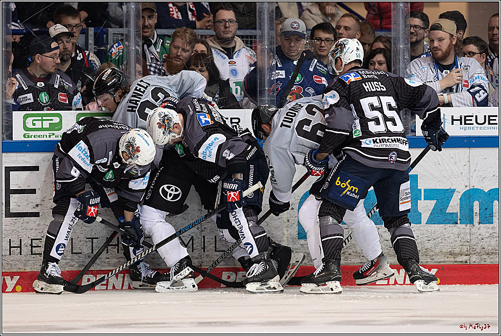 PENNY DEL 1; Iserlohn Roosters - Kölner Haie; Iserlohn, 20.10.2024