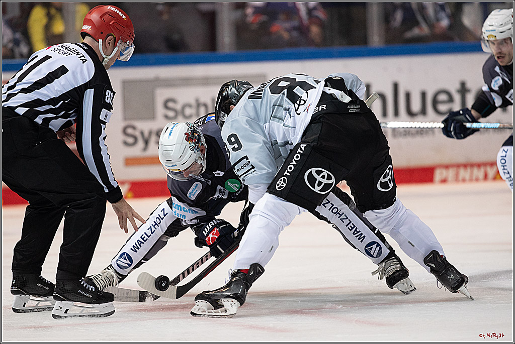 PENNY DEL 1; Iserlohn Roosters - Kölner Haie; Iserlohn, 20.10.2024