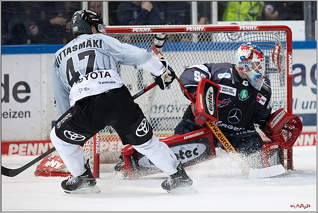PENNY DEL 1; Iserlohn Roosters - Kölner Haie; Iserlohn, 20.10.2024