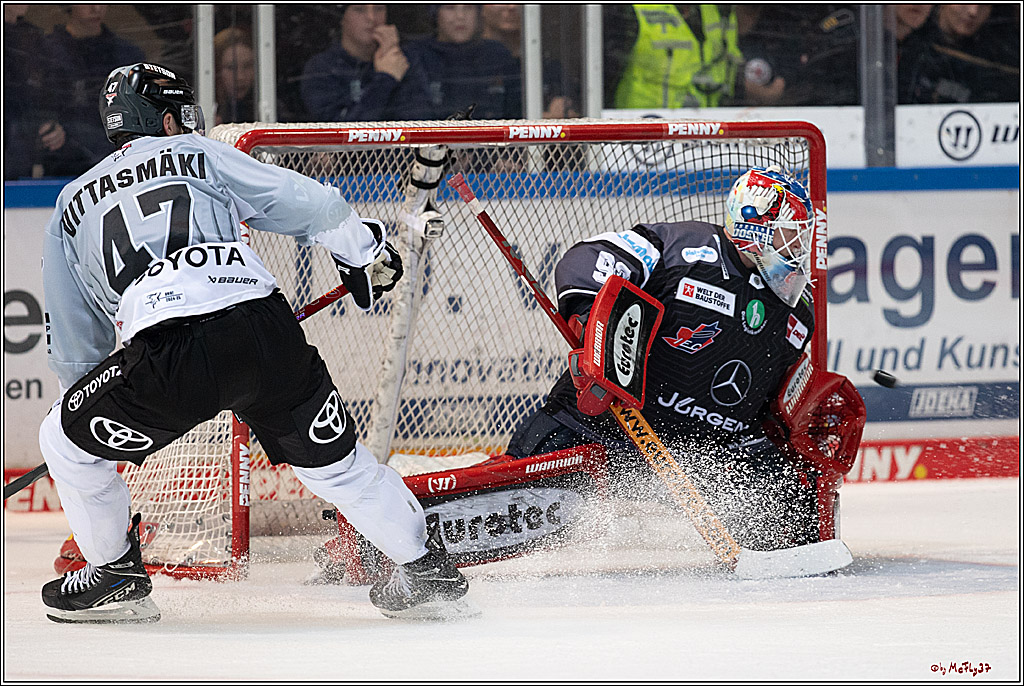 PENNY DEL 1; Iserlohn Roosters - Kölner Haie; Iserlohn, 20.10.2024