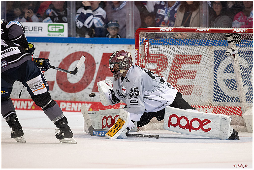 PENNY DEL 1; Iserlohn Roosters - Kölner Haie; Iserlohn, 20.10.2024