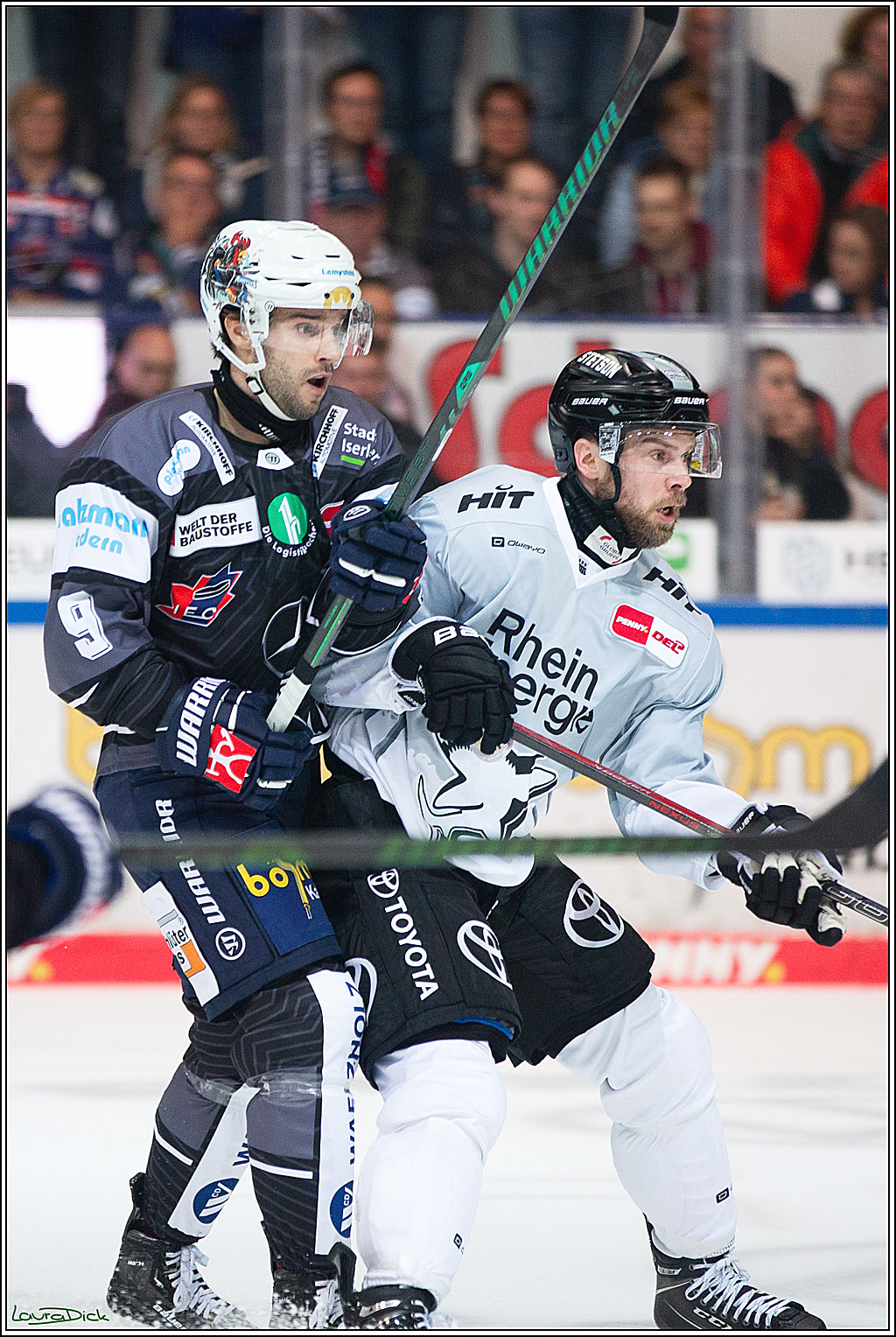 PENNY DEL; Iserlohn Roosters-Koelner Haie; Iserlohn, 20.10.2024