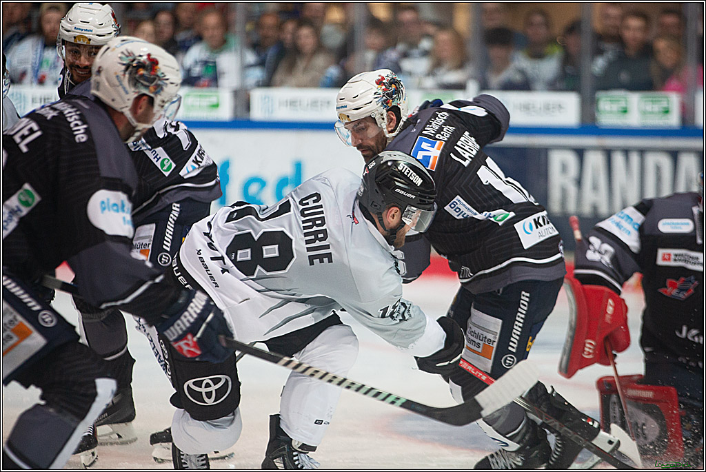 PENNY DEL; Iserlohn Roosters-Koelner Haie; Iserlohn, 20.10.2024