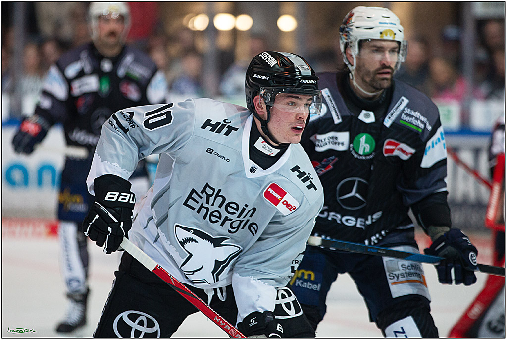 PENNY DEL; Iserlohn Roosters-Koelner Haie; Iserlohn, 20.10.2024