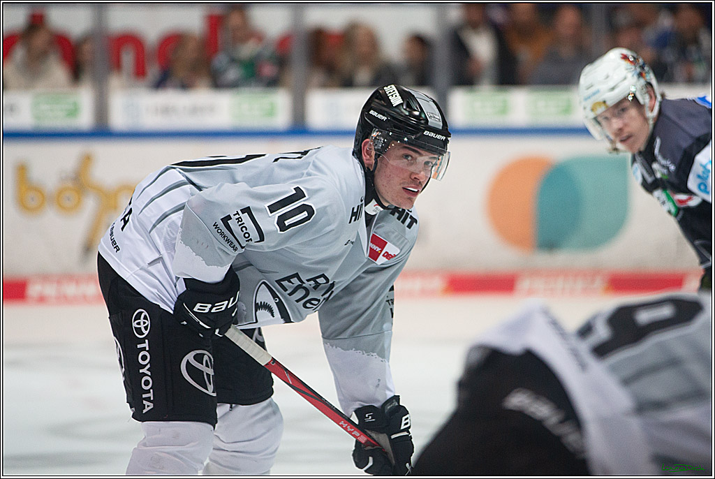PENNY DEL; Iserlohn Roosters-Koelner Haie; Iserlohn, 20.10.2024