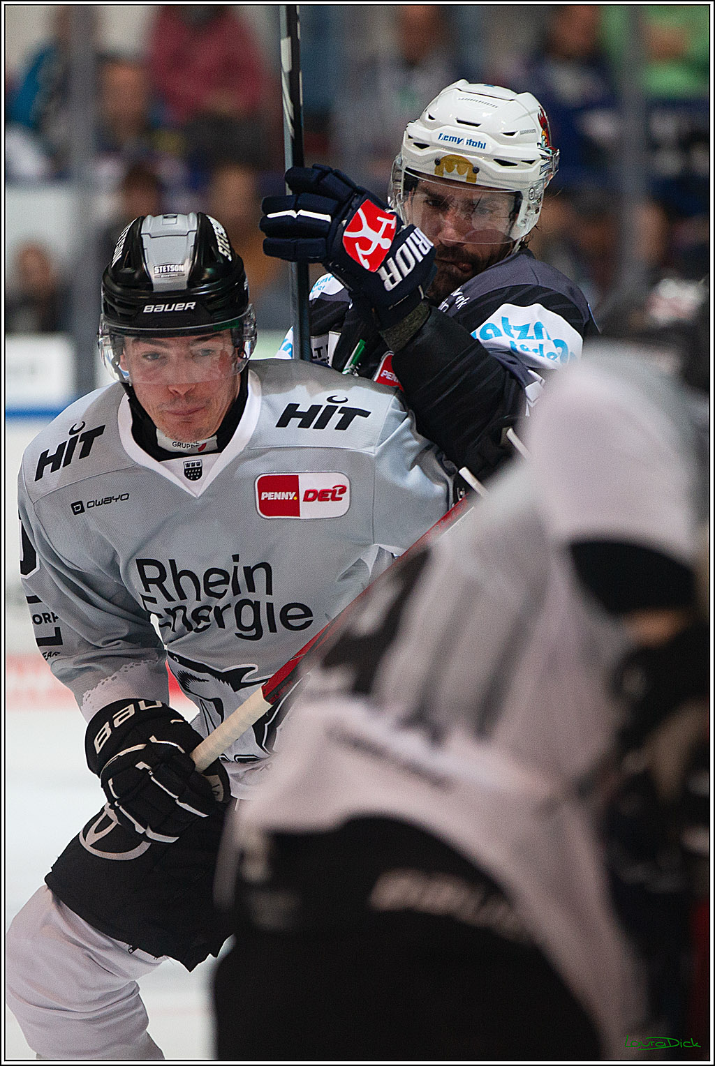 PENNY DEL; Iserlohn Roosters-Koelner Haie; Iserlohn, 20.10.2024