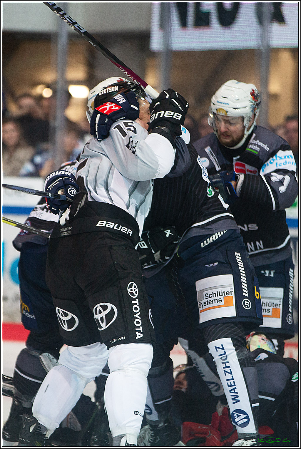 PENNY DEL; Iserlohn Roosters-Koelner Haie; Iserlohn, 20.10.2024