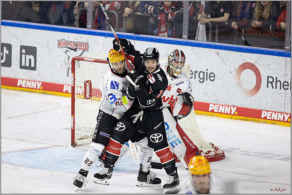 PENNY DEL 1; Kölner Haie - Fischtown Pinguins; Köln, 15.11.2024