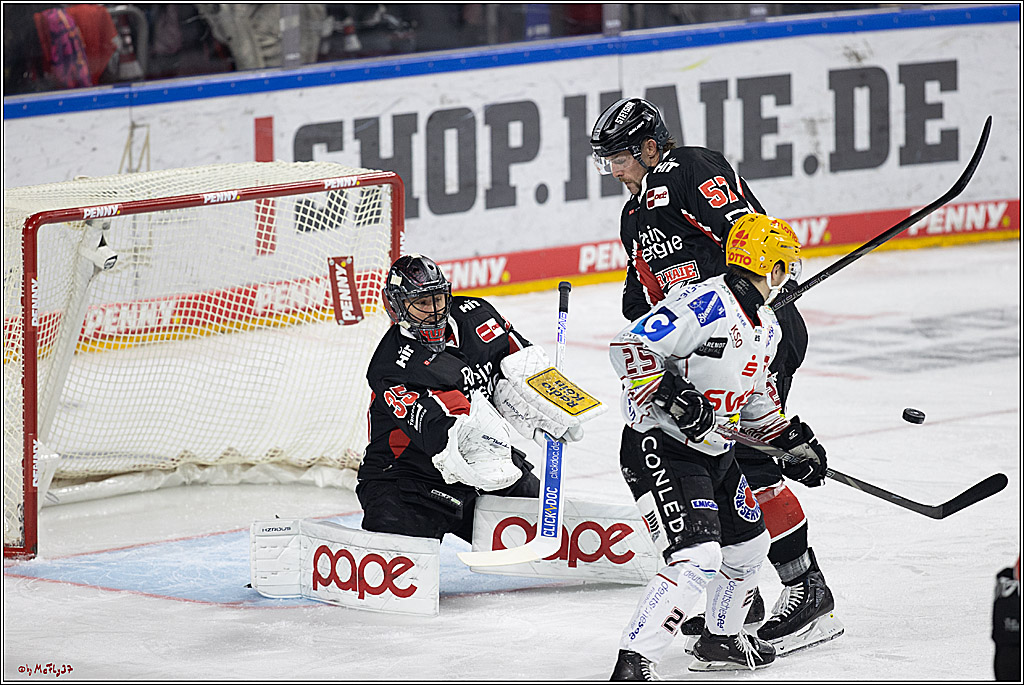 PENNY DEL 1; Kölner Haie - Fischtown Pinguins; Köln, 15.11.2024