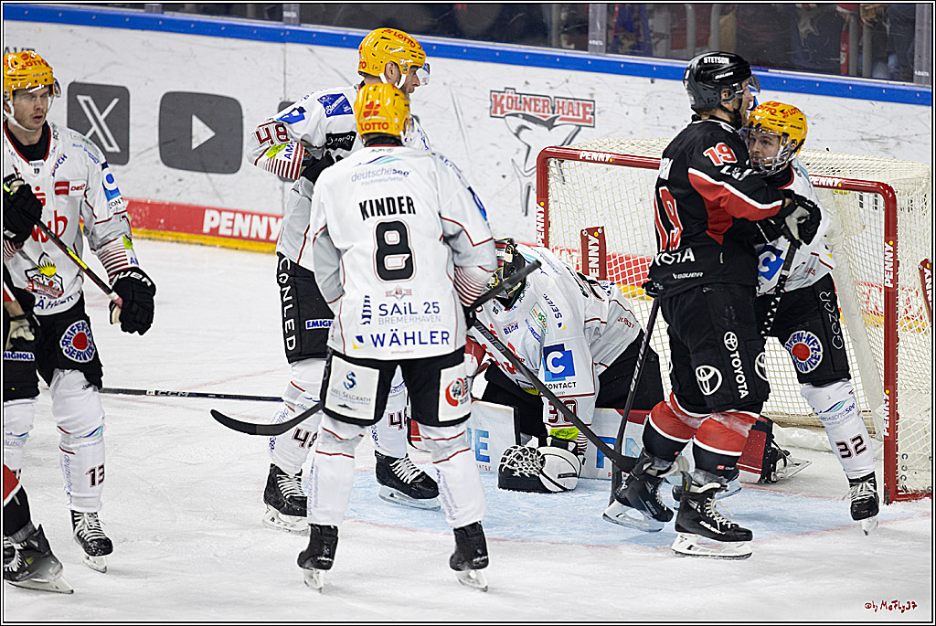 PENNY DEL 1; Kölner Haie - Fischtown Pinguins; Köln, 15.11.2024