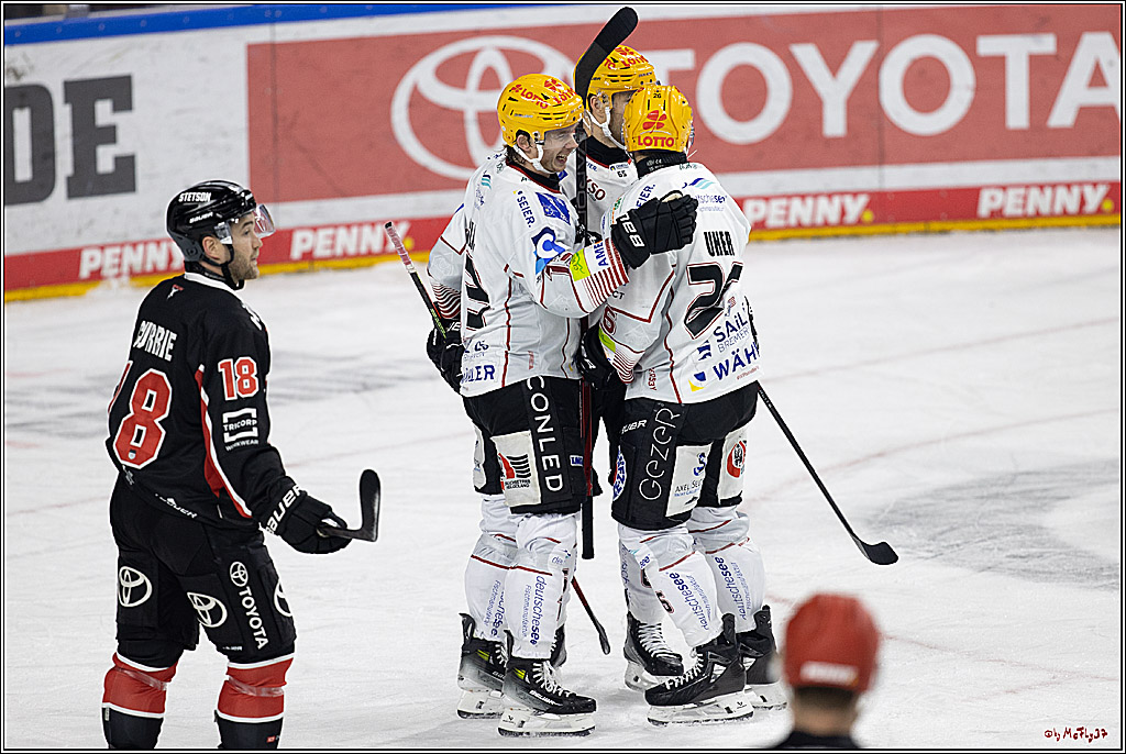 PENNY DEL 1; Kölner Haie - Fischtown Pinguins; Köln, 15.11.2024