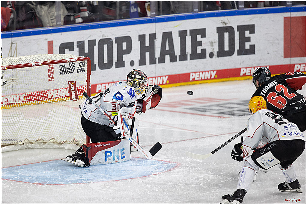 PENNY DEL 1; Kölner Haie - Fischtown Pinguins; Köln, 15.11.2024