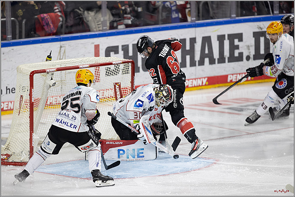 PENNY DEL 1; Kölner Haie - Fischtown Pinguins; Köln, 15.11.2024