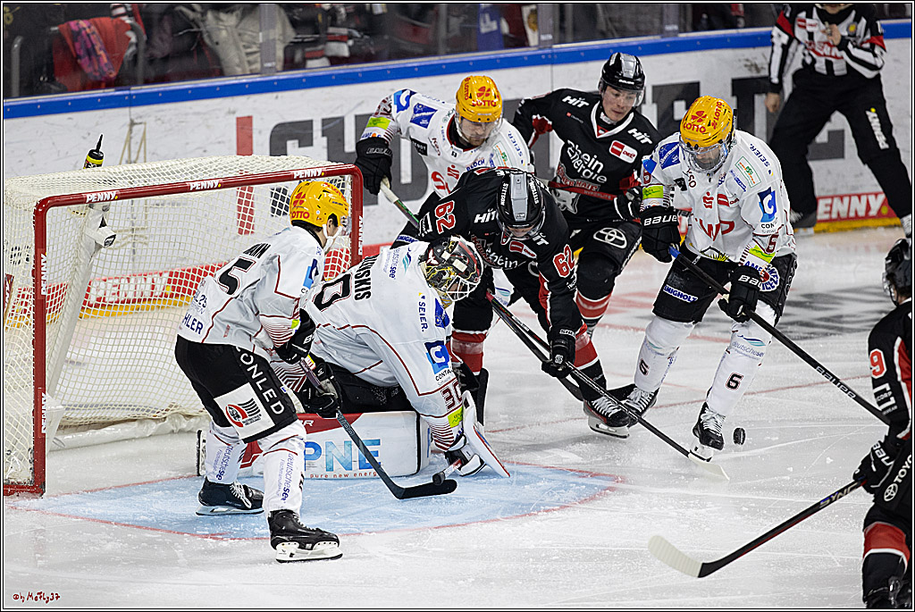 PENNY DEL 1; Kölner Haie - Fischtown Pinguins; Köln, 15.11.2024